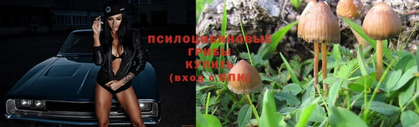 спиды Алзамай
